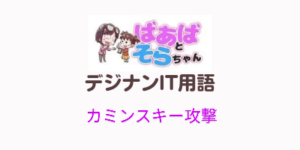 カミンスキー攻撃(IT用語)