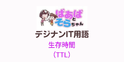 生存時間（TTL）IT用語