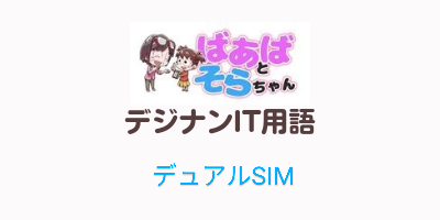 デュアルSIM（IT用語）